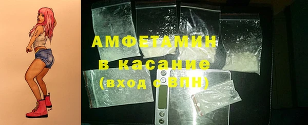 амф Дмитриев