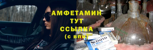 амф Дмитриев