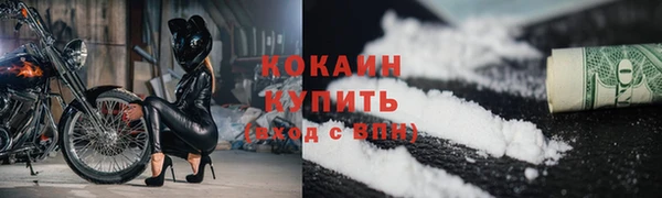 амф Дмитриев
