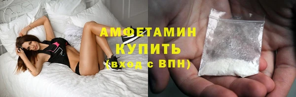 амф Дмитриев