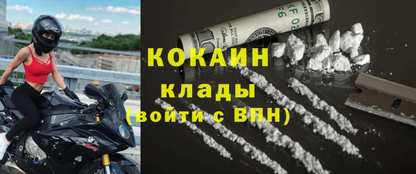 амф Дмитриев